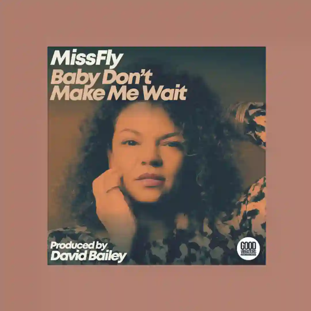 Baby Don't Make Me Wait (David Bailey Vocal Mix) cover