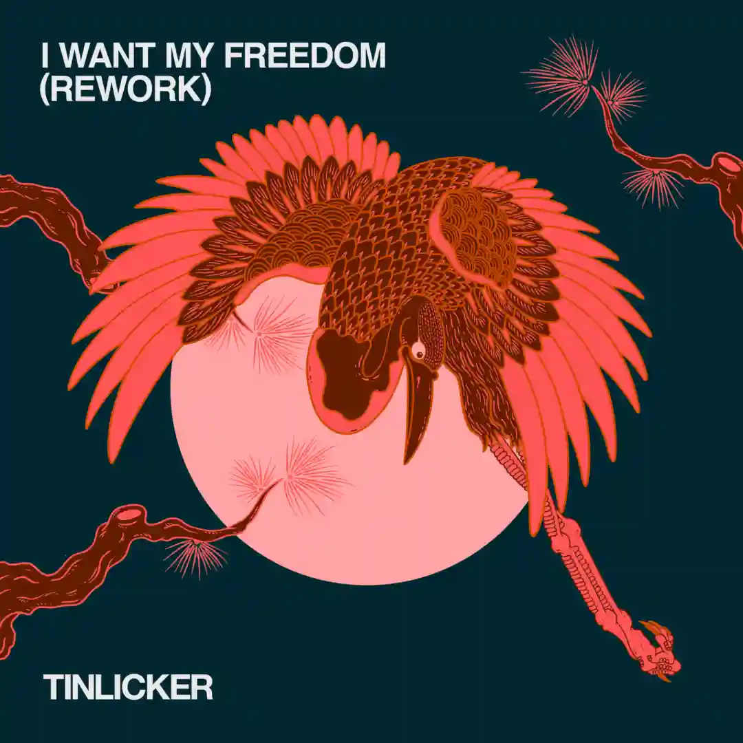 I Want My Freedom (Rework - Extended Version) cover