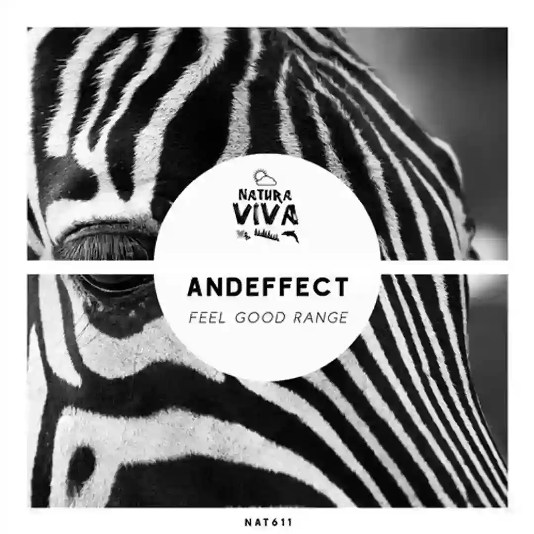 Feel Good Range (Original Mix) cover