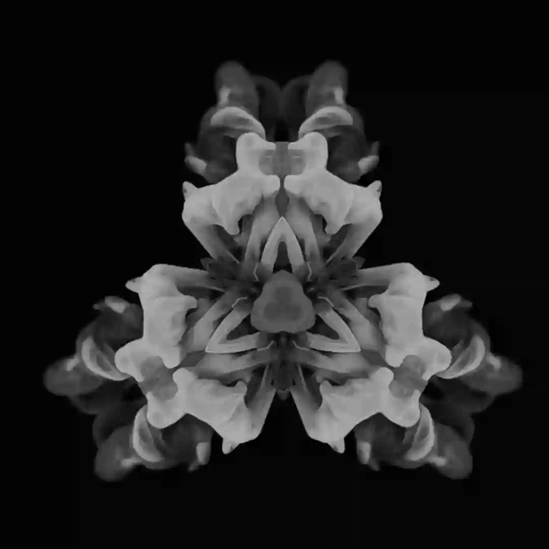 06 cover