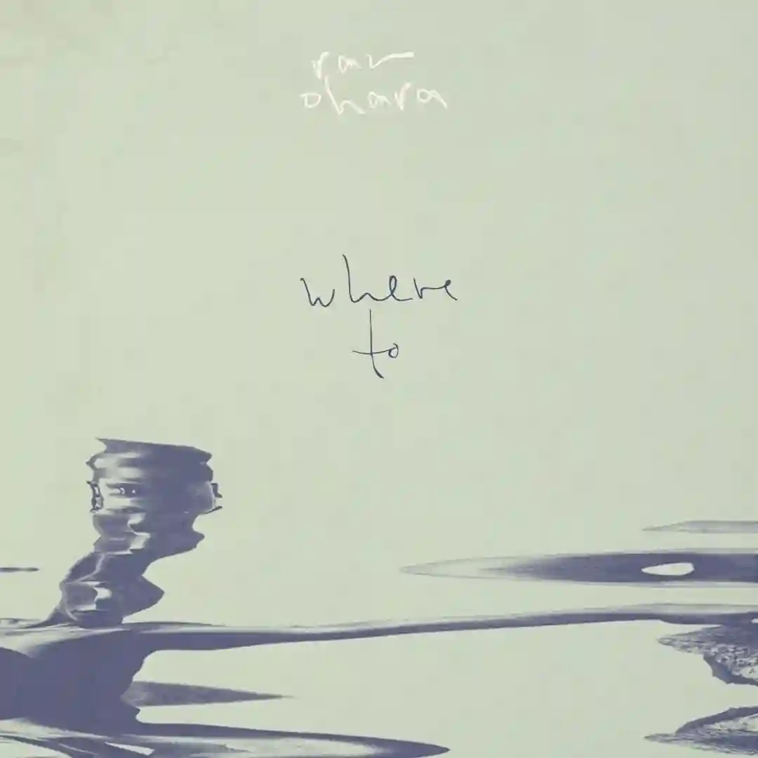 Where To (Acid Pauli Remix) cover