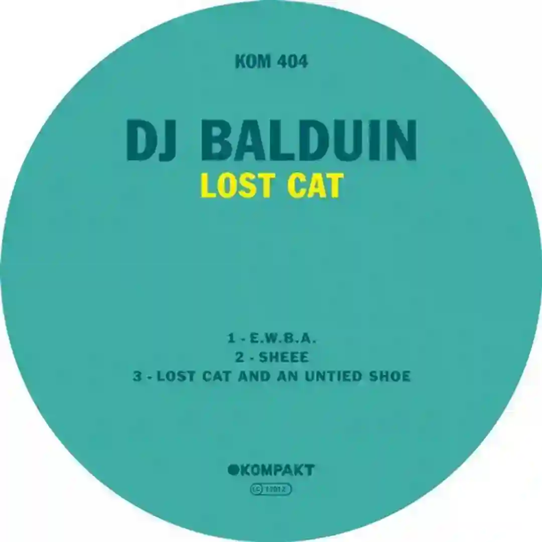 Lost Cat And An Untied Shoe (Original Mix) cover