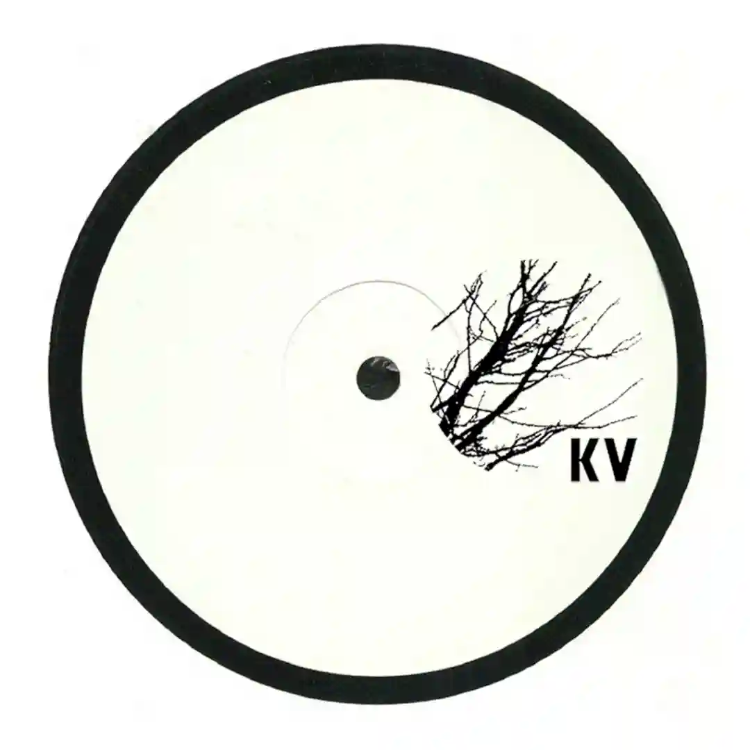 Flux Growth (Original Mix) cover