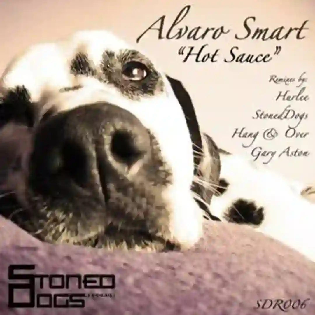 Hot Sauce (StonedDogs remix) cover