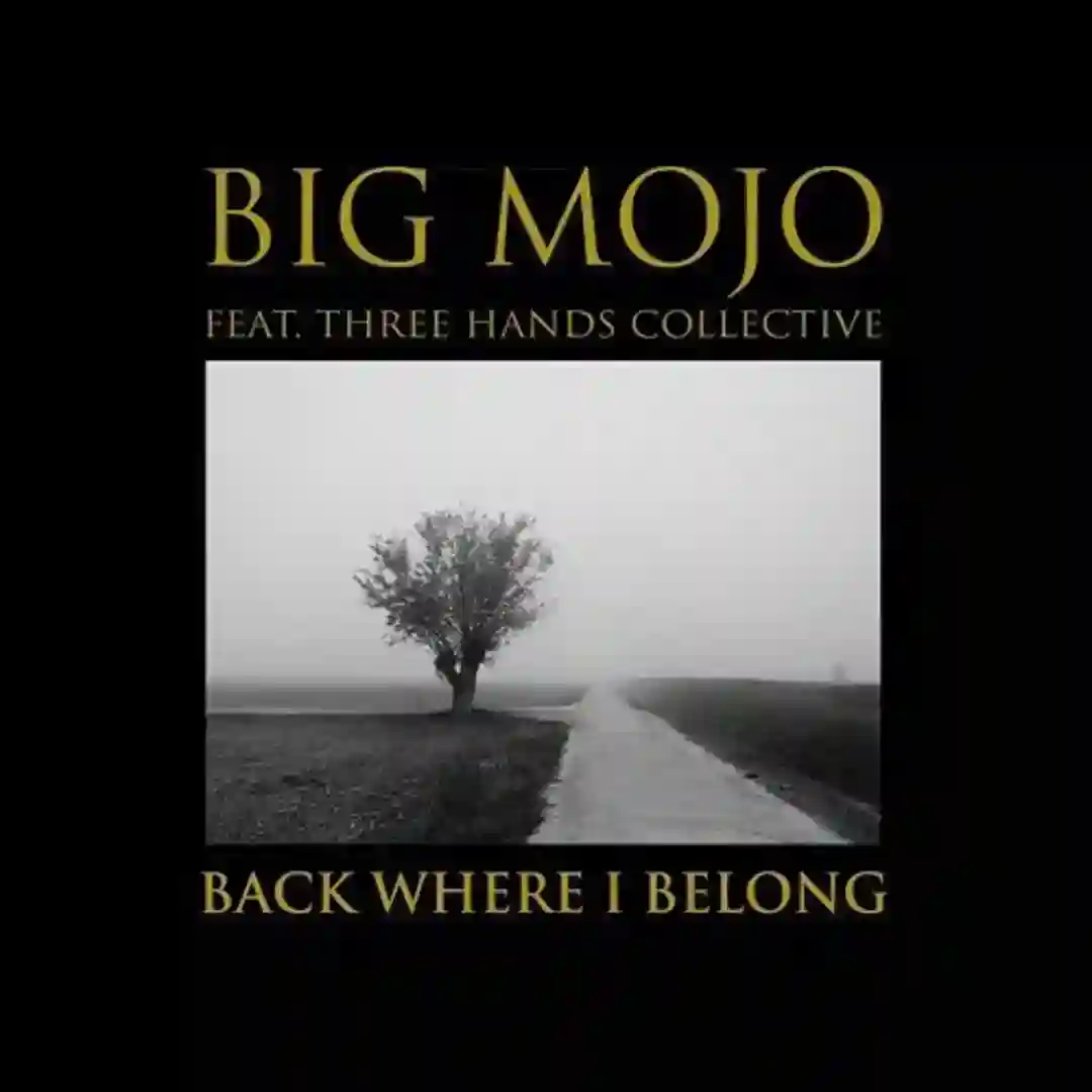 Back Where I Belong (THC Remix) cover