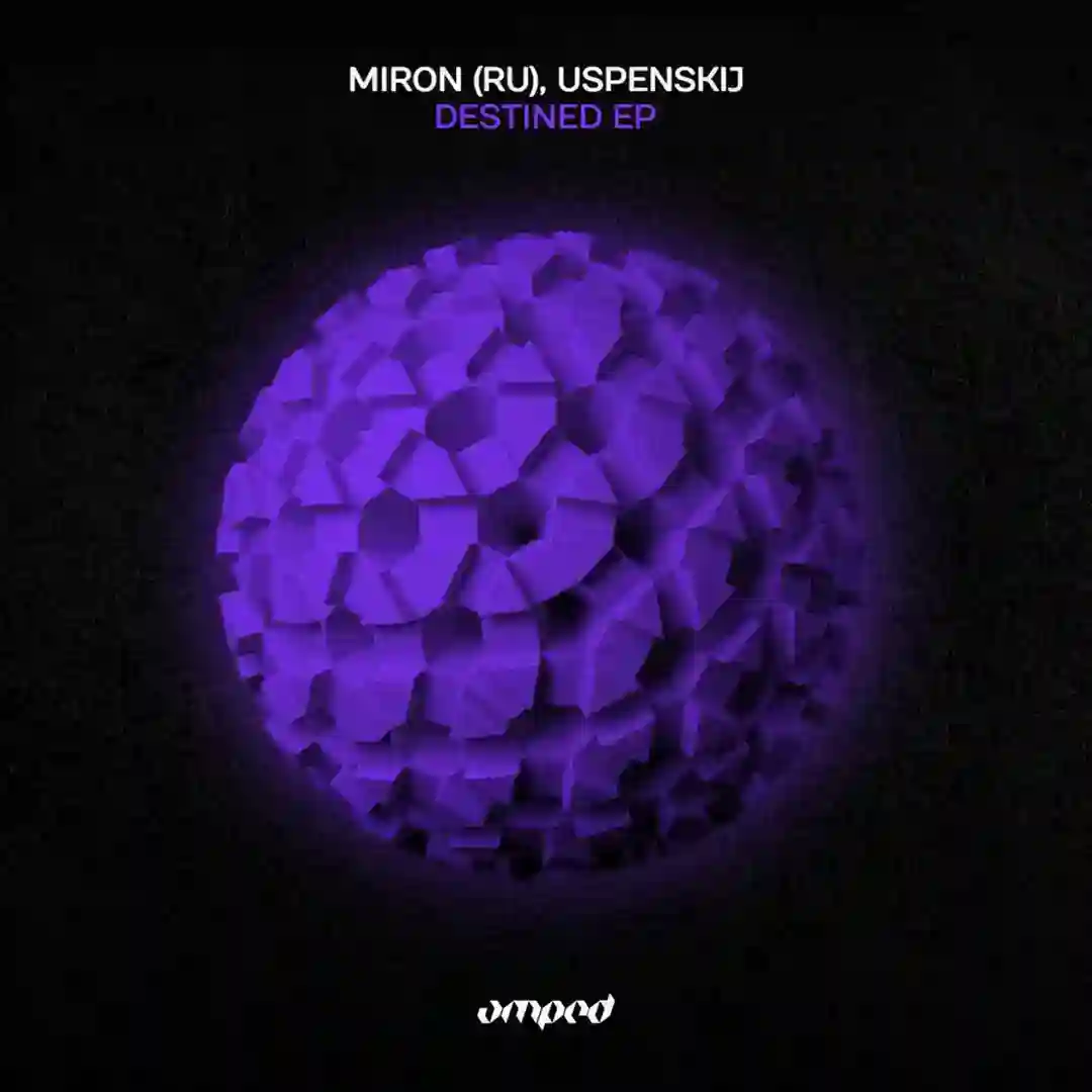 In The Balanse (Original Mix) cover