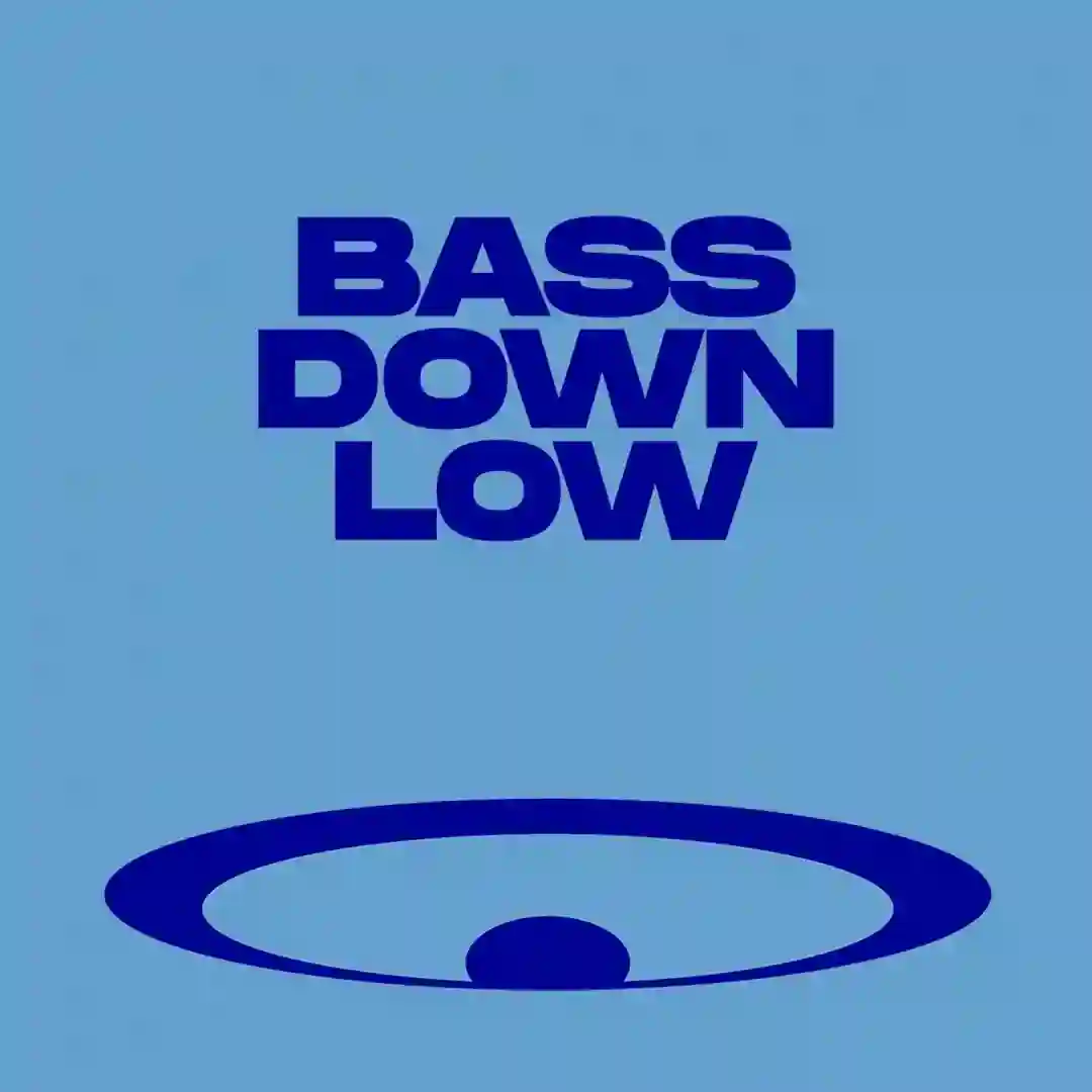 Bass Down Low cover