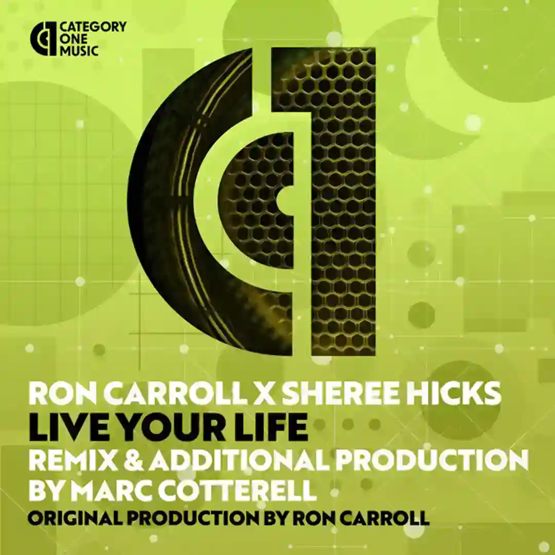 Live Your Life (Marc Cotterell Plastik Factory Vocal Mix) cover