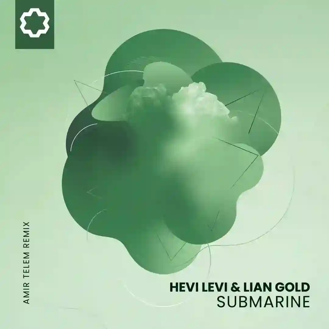 Submarine (Amir Telem Remix) cover