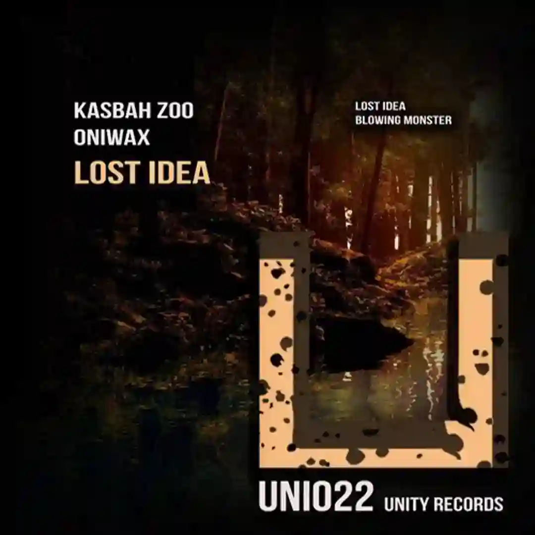 Lost Idea cover