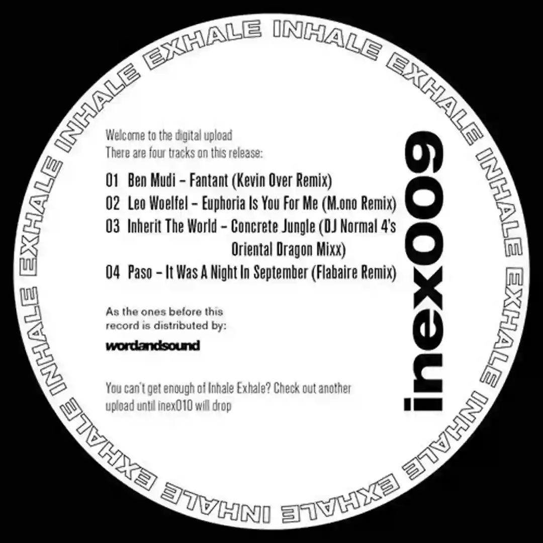 InEx009 V/A Remix EP cover