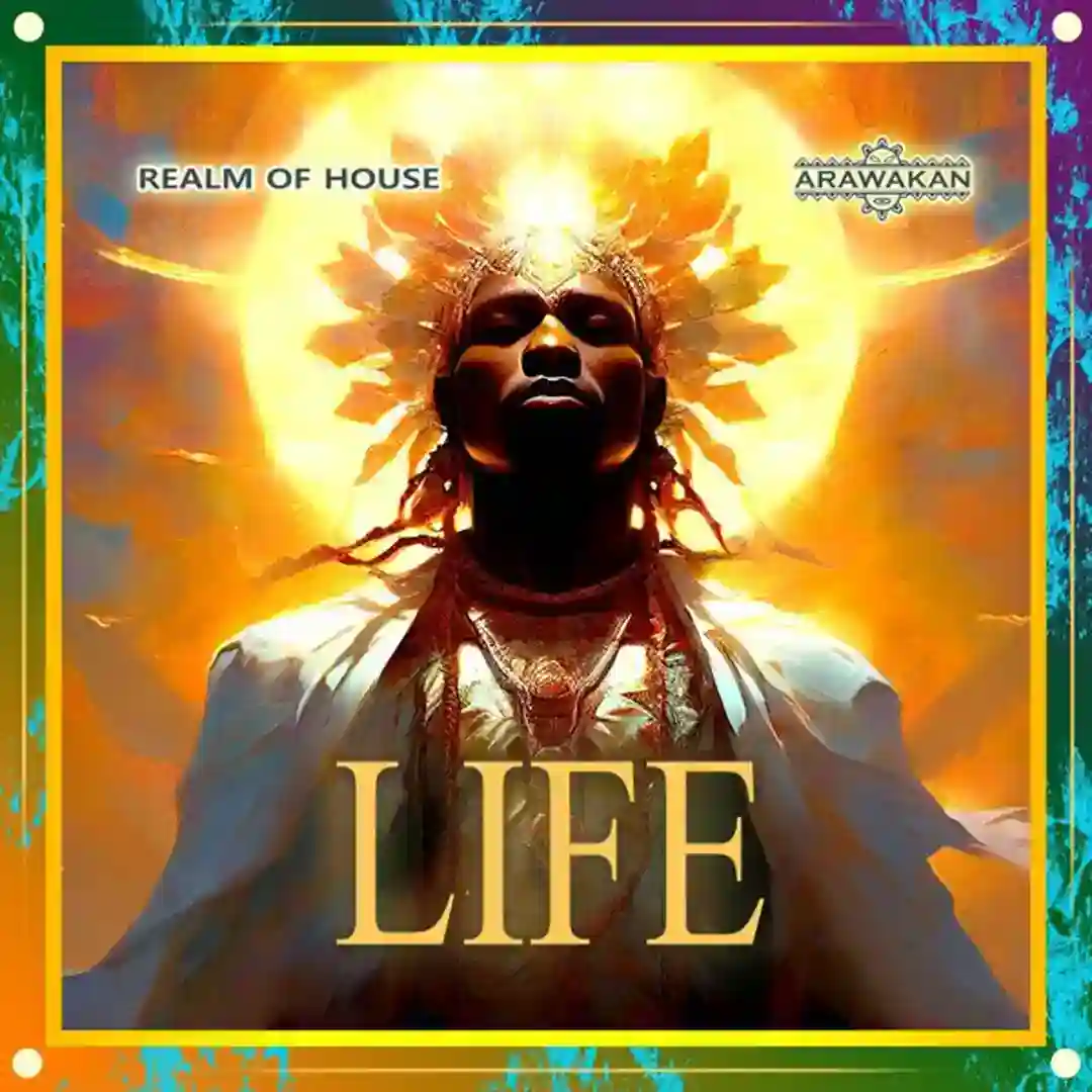Life (Arawakan Drum mix) cover