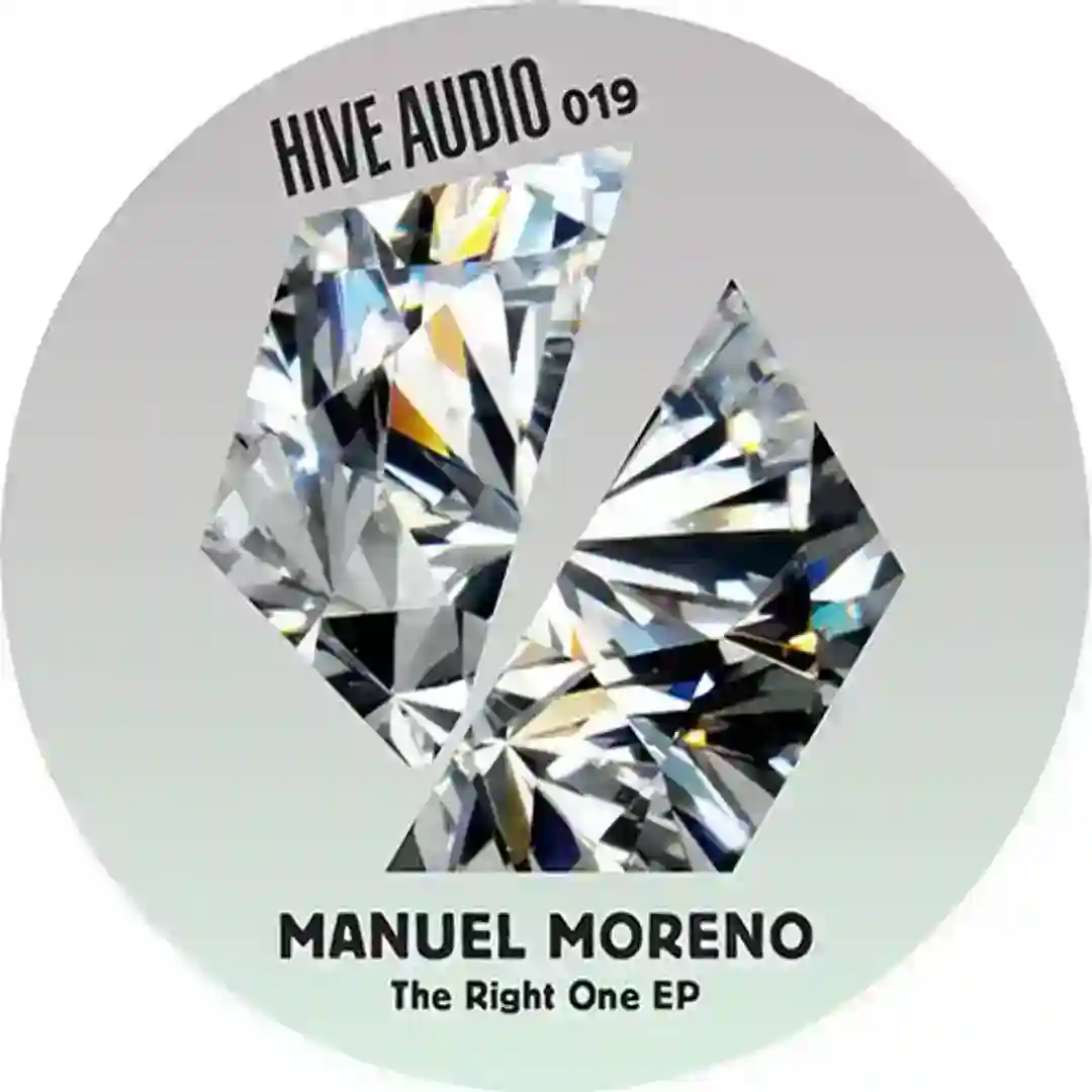 Under Your Skin (Lee Van Dowski Remix) cover