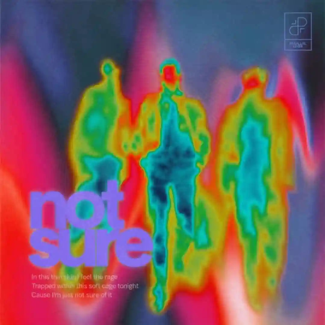 Not Sure (Extended Mix) cover