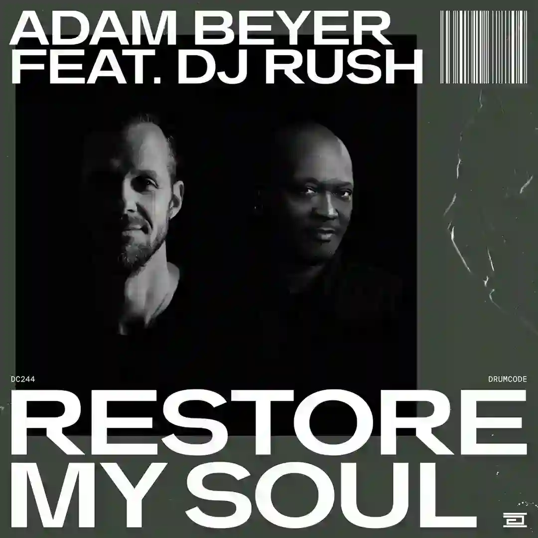 Restore My Soul (DJ Rush Extended Remix) cover