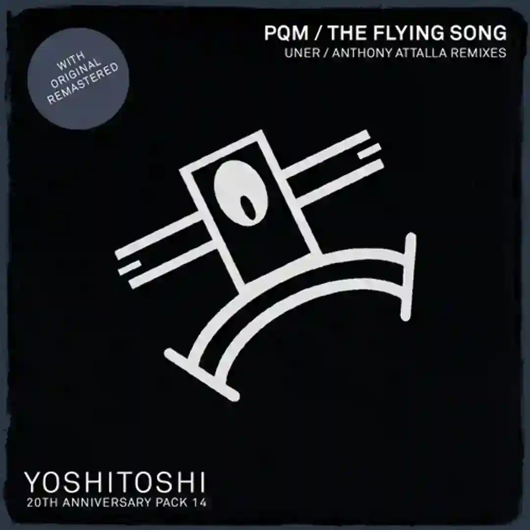 The Flying Song (Remastered) cover