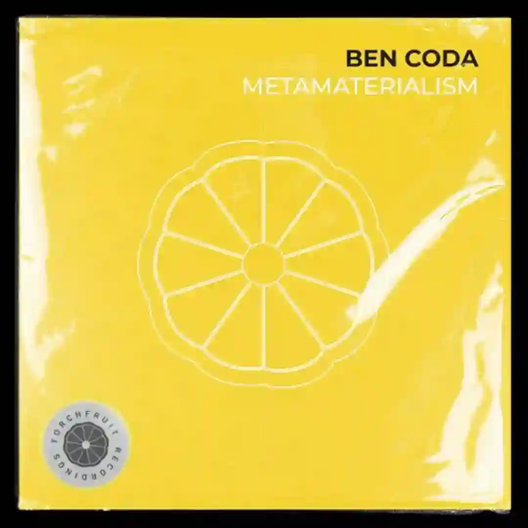 Metamateralism cover