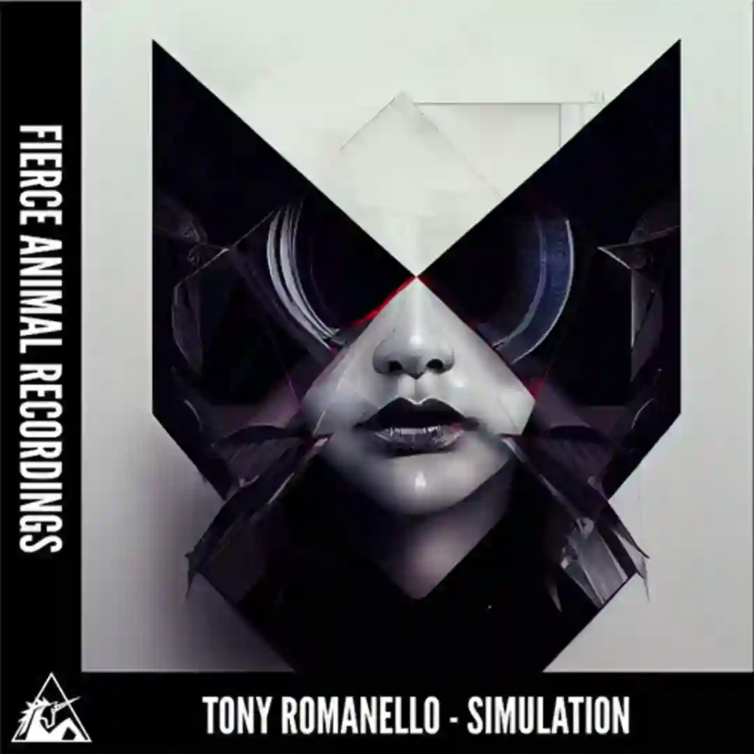 Simulation (Original Mix) cover