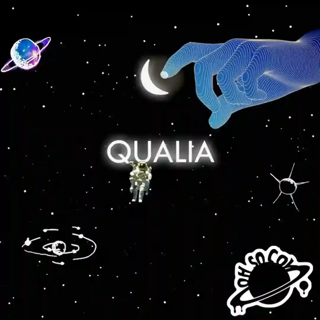 Qualia (Original Mix) cover