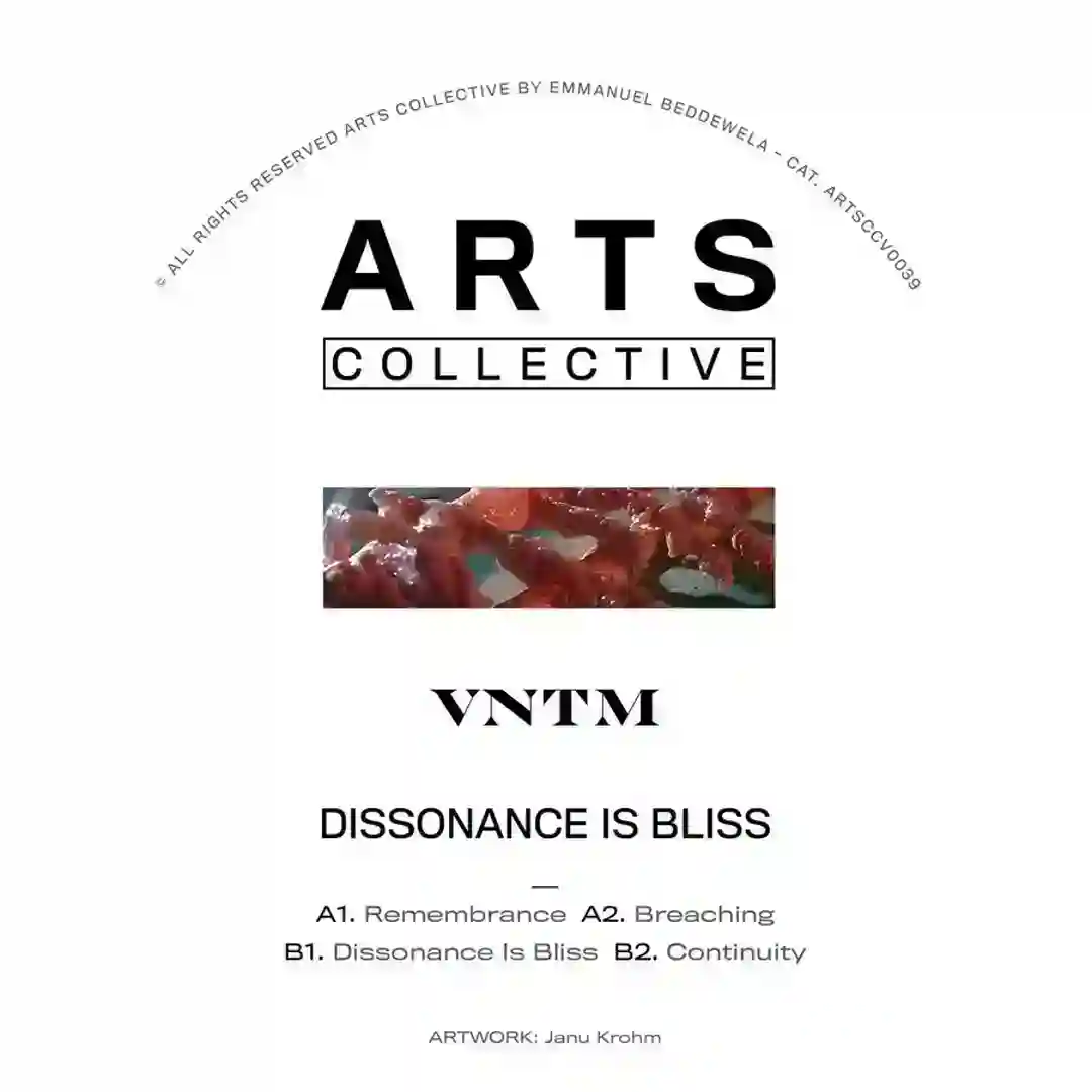 Dissonance Is Bliss cover