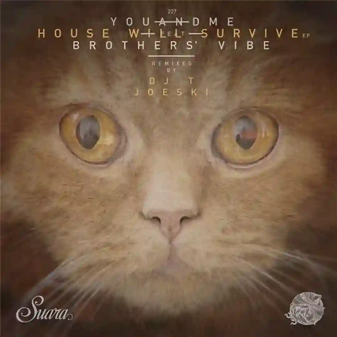 House Will Survive Feat. Brothers' Vibe (Original Mix) cover