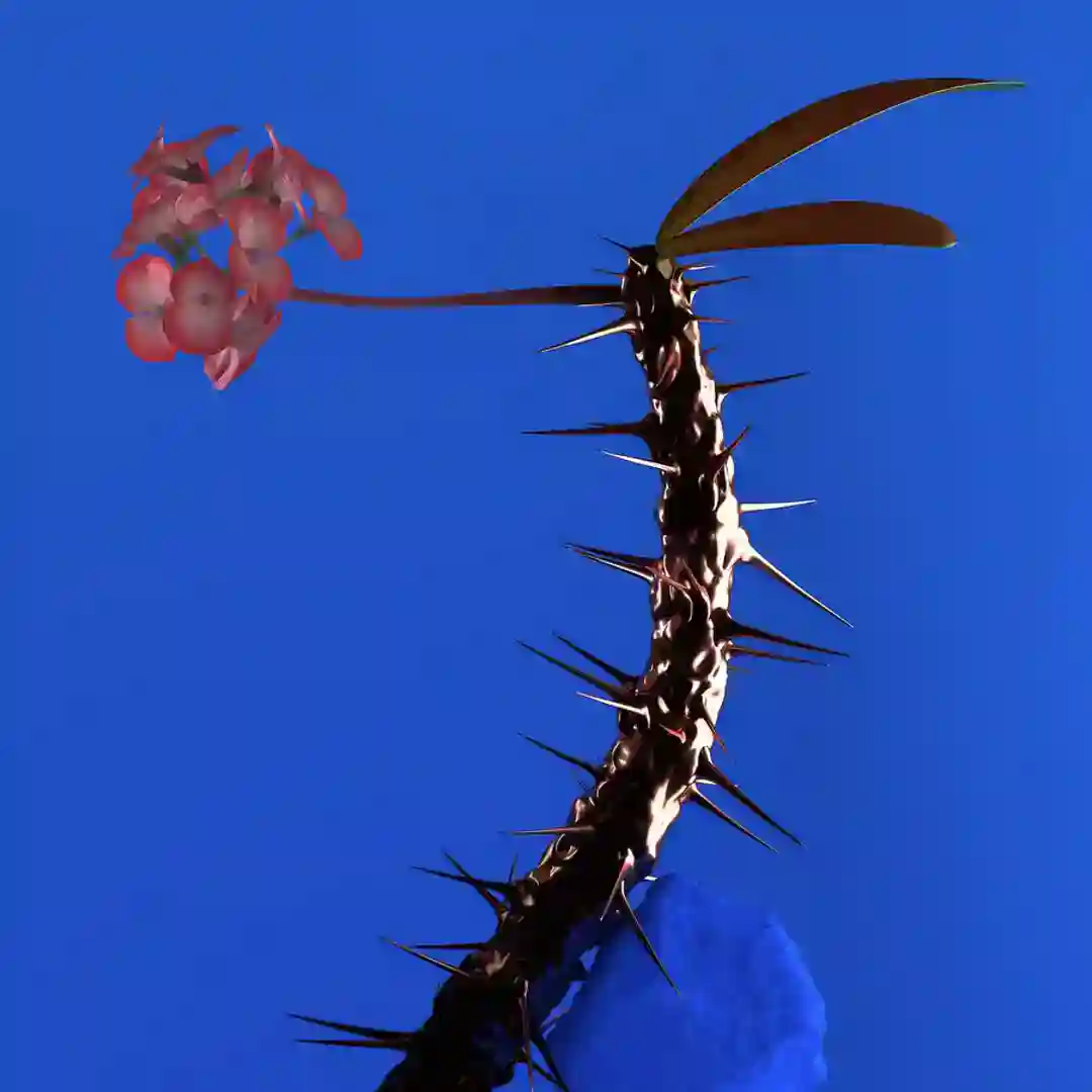 Skin Companion EP II cover