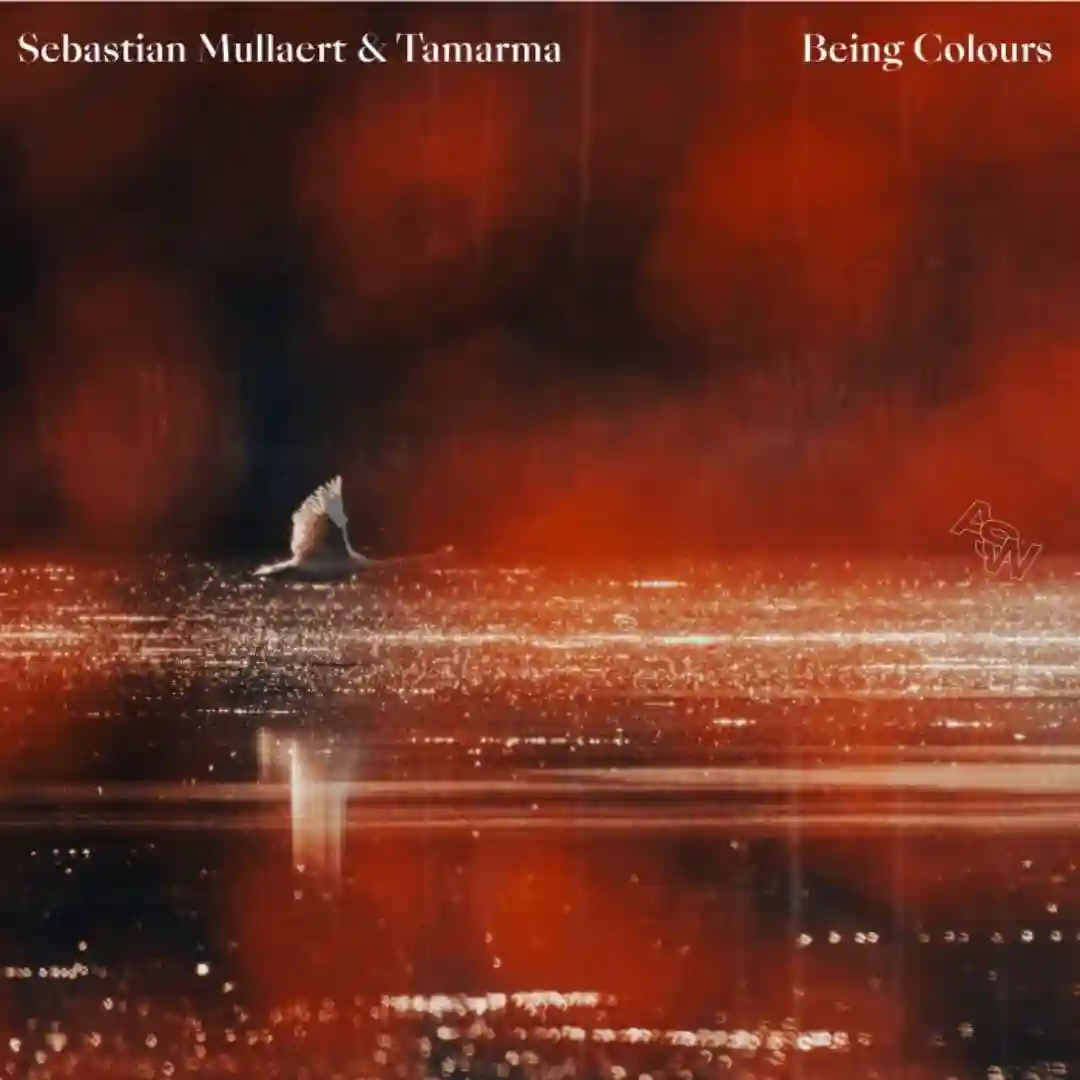 Being Colours (Sebastian Mullaert rework) cover