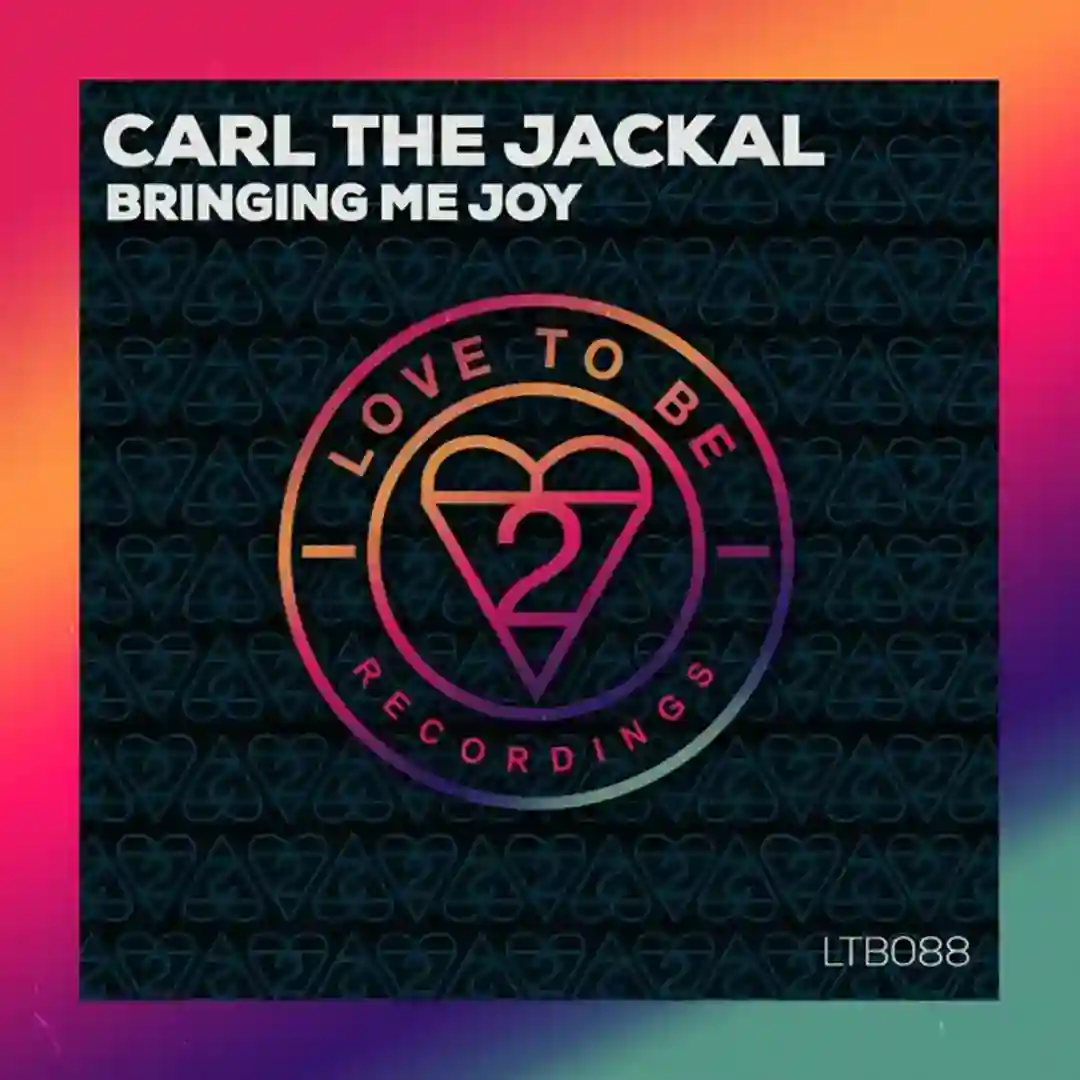 Bringing Me Joy (Original Mix) cover
