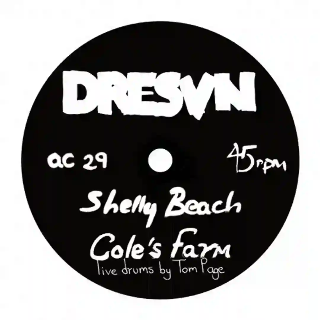 Shelly Beach (Original Mix) cover