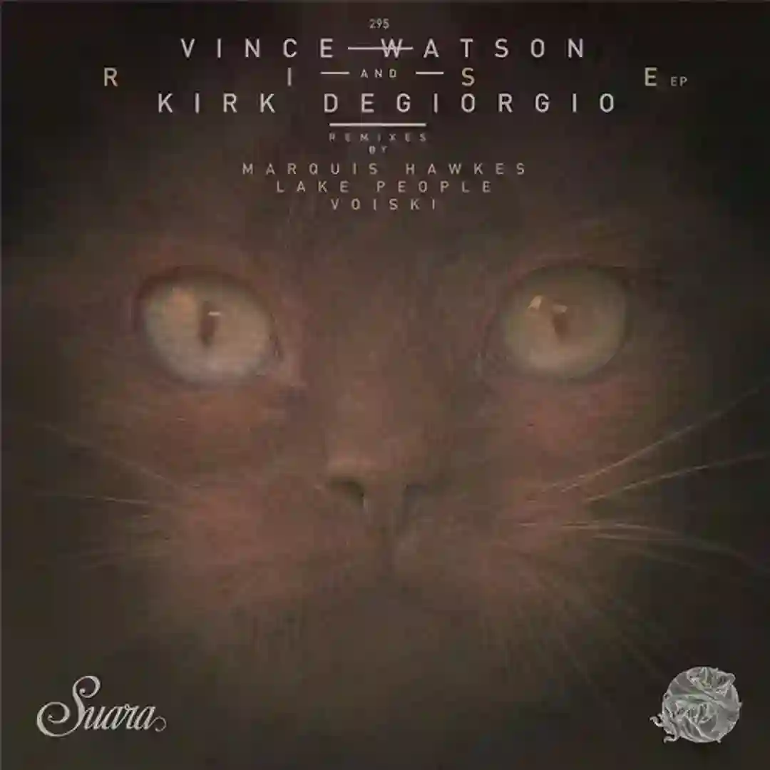 Rise (Original Mix) cover
