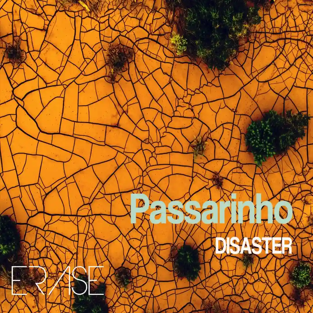 Passarinho (Original Mix) cover