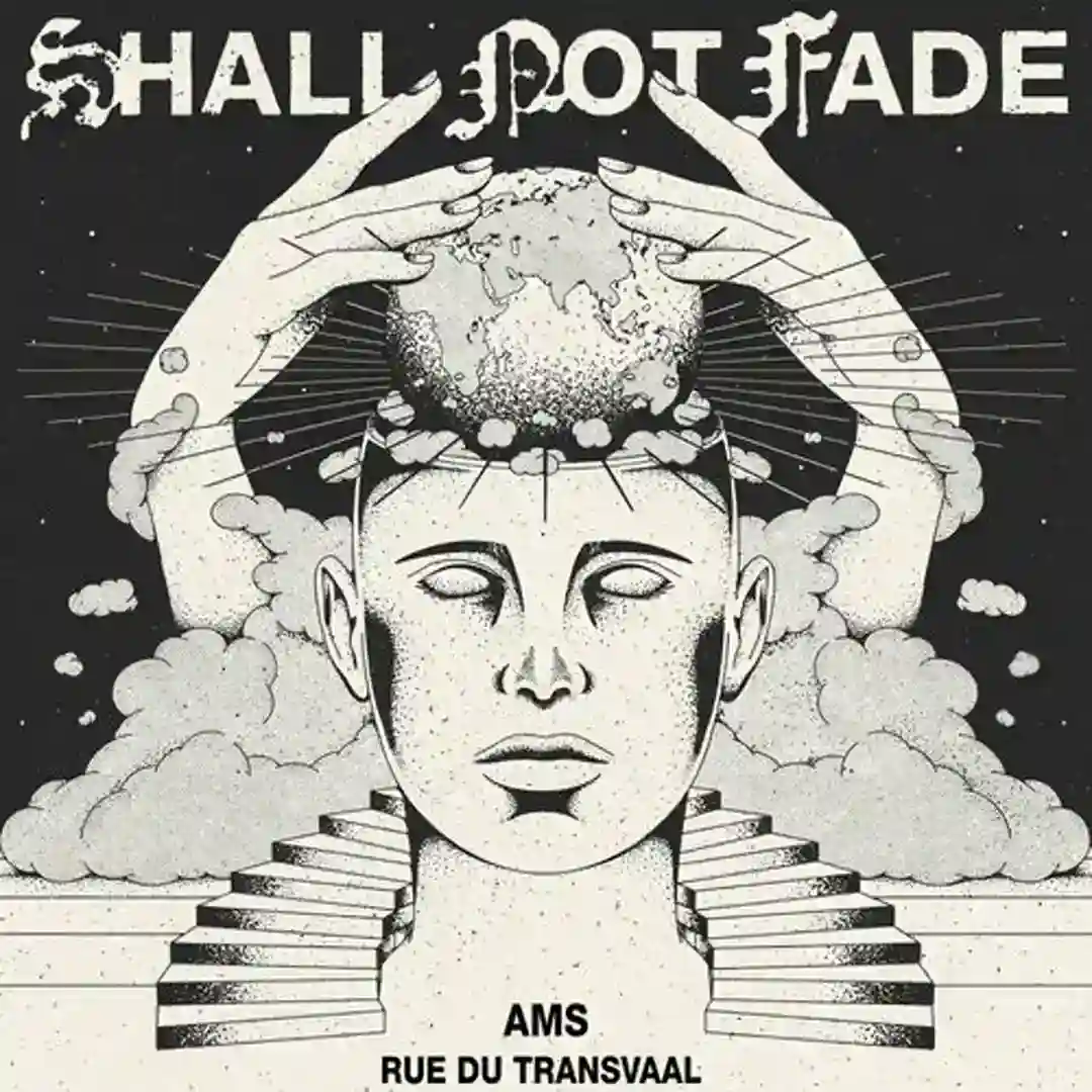Rue Du Transvaal cover