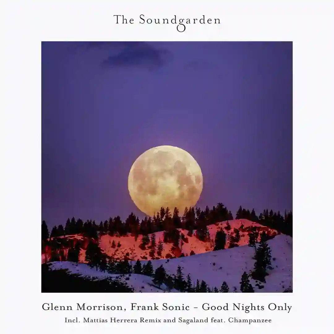 Good Nights Only (Mattias Herrera Extended Remix) cover