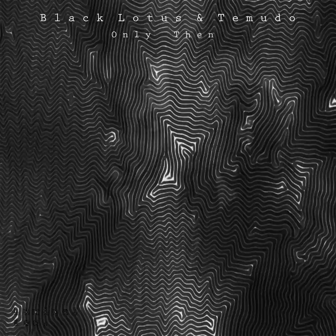 Only Then (Dustin Zahn Remix) cover