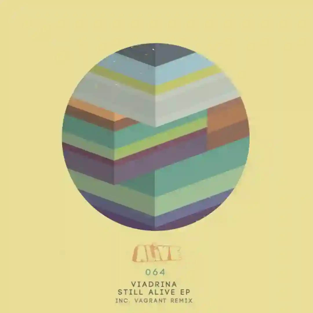 Pictures (Vagrant Remix) cover