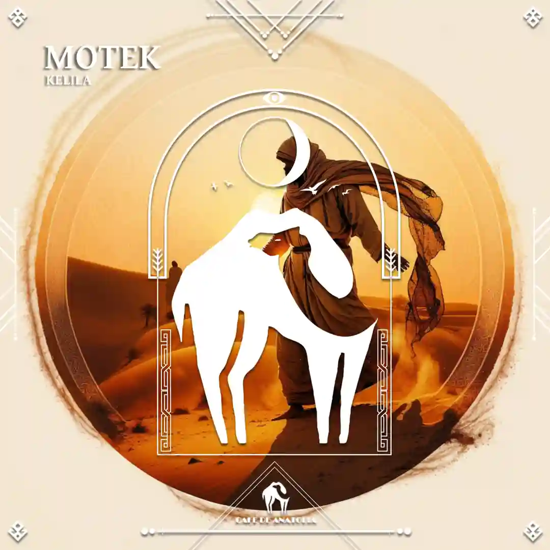 Motek cover