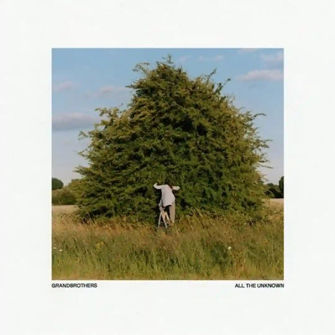What We See cover