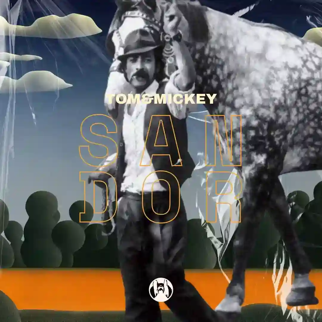 Sandor (Original Mix) cover