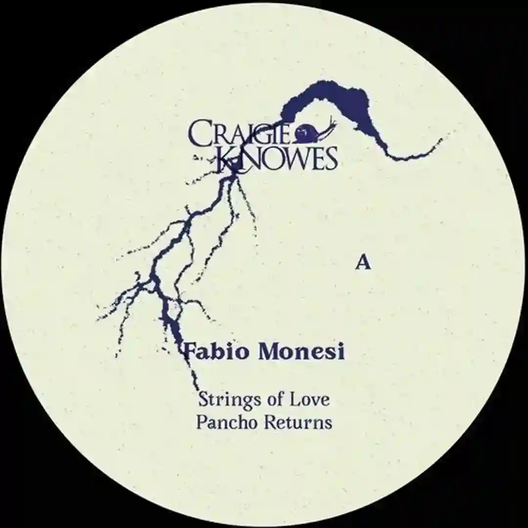 Pancho Returns (Original Mix) cover