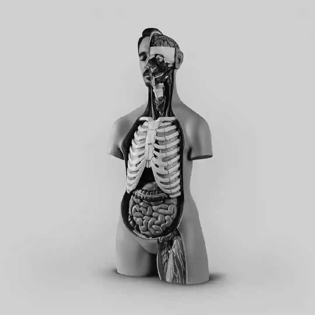 Untitled 01 (Ada Kaleh Remix) cover