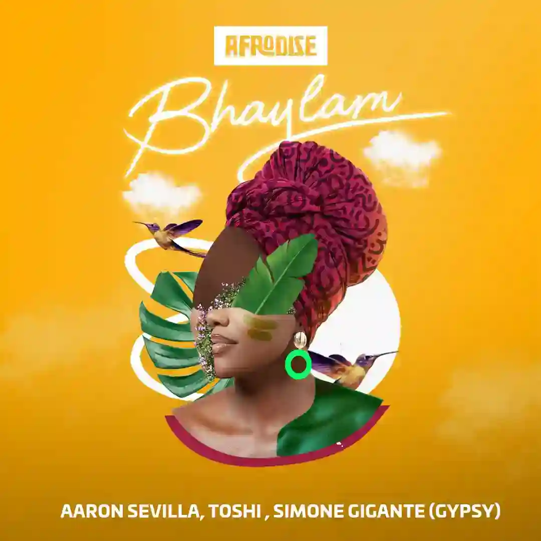 Bhaylam (Original Mix) cover