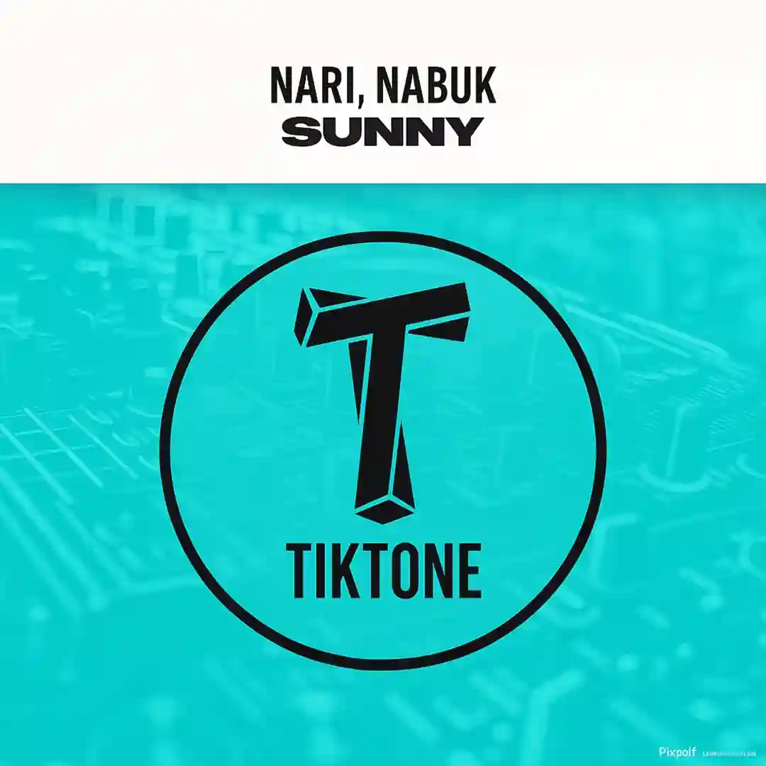 Sunny (Funky Mix) cover