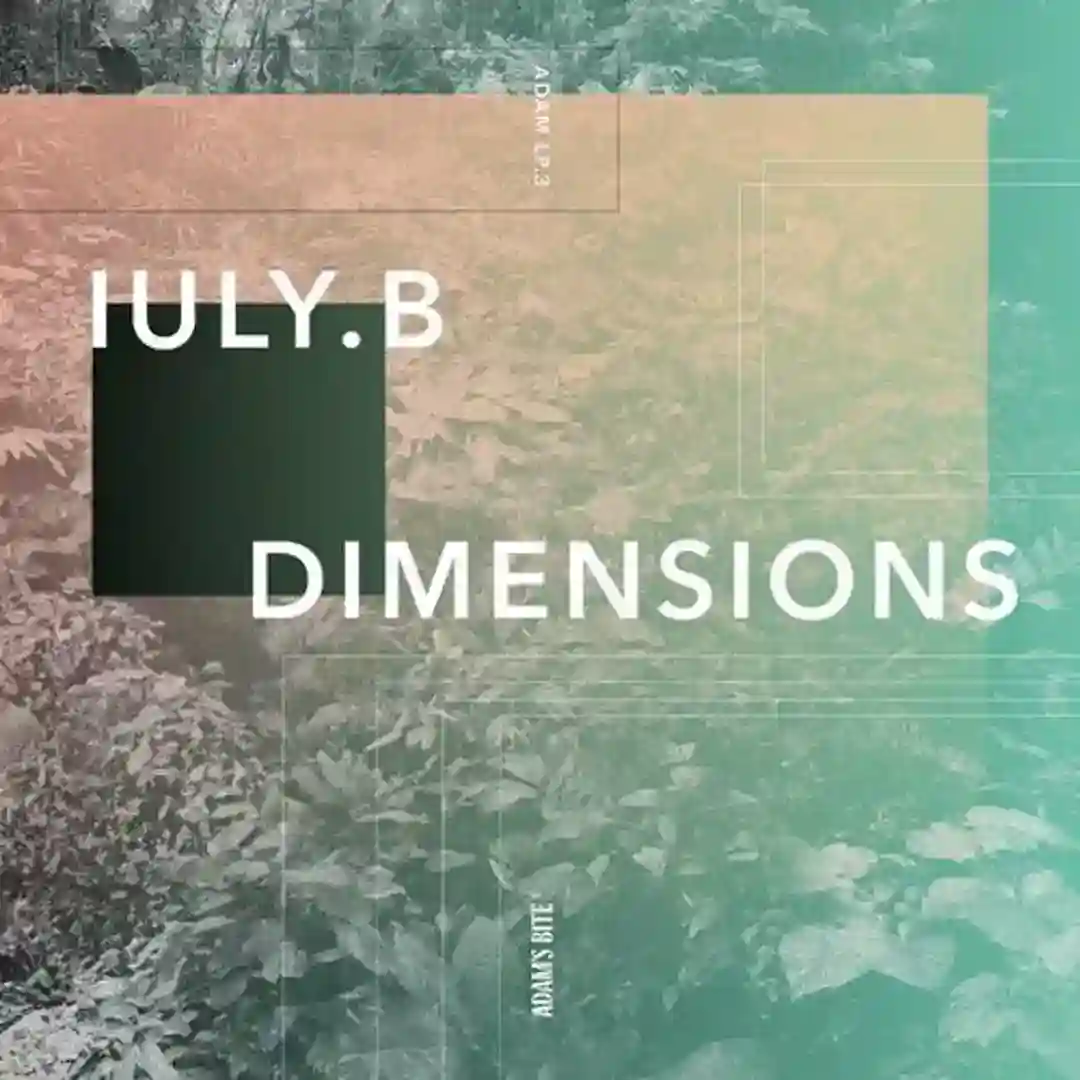Variations Newmix cover