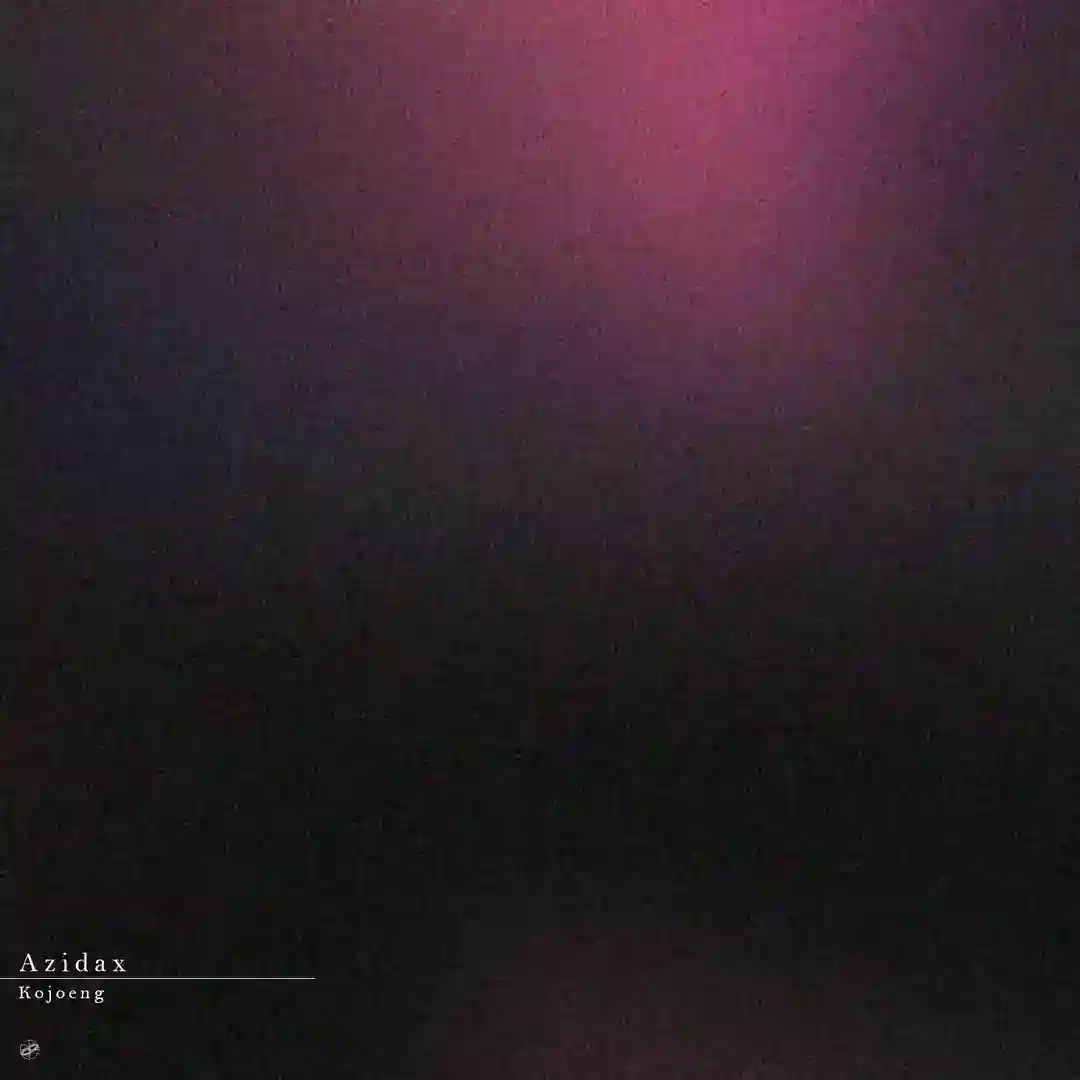 Palolem cover