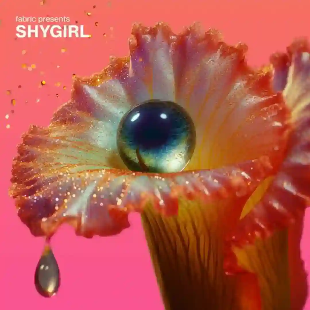 7th (Mixed) cover