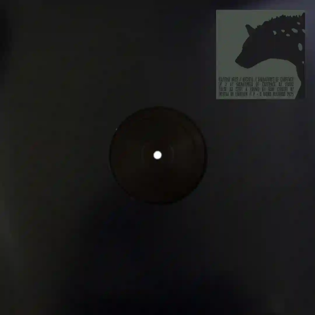 Static pulse (Original Mix) cover