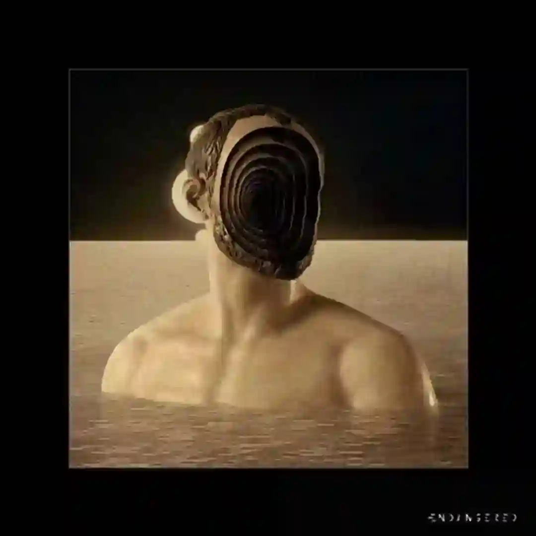 Wide Spaces (Original Mix) cover