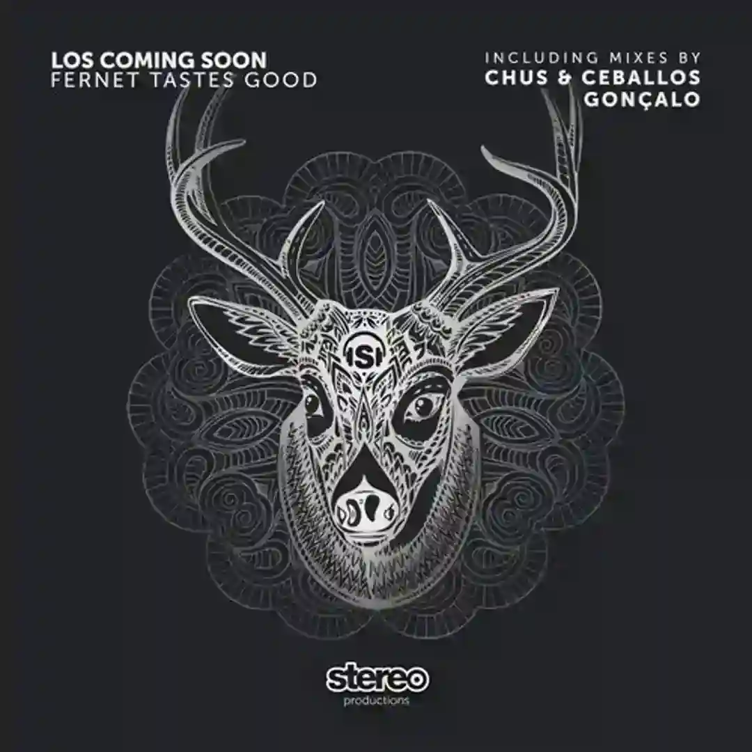 Fernet Tastes Good (Chus & Ceballos Remix) cover