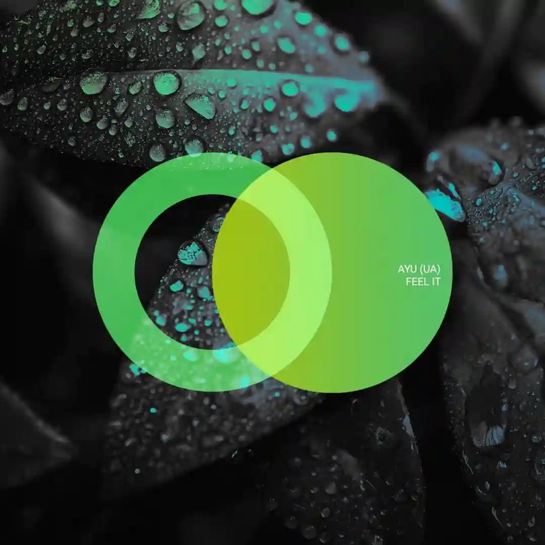 Inverse (Original Mix) cover