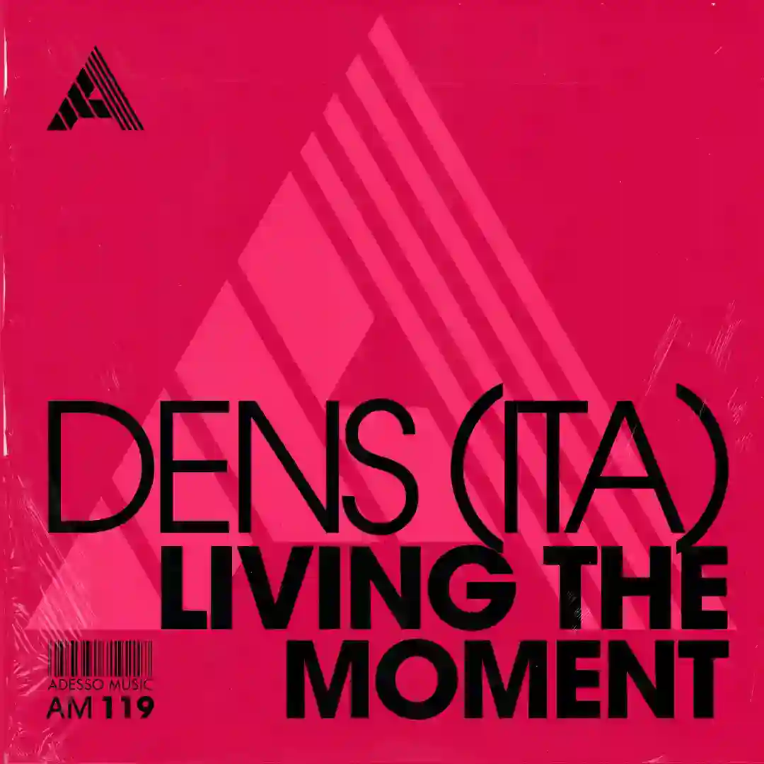 Living The Moment (Extended Mix) cover